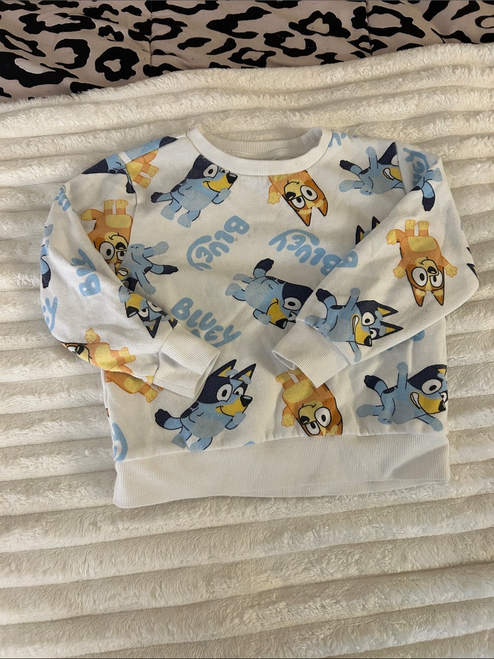 Bluey and Bingo White Kids Sweatshirt